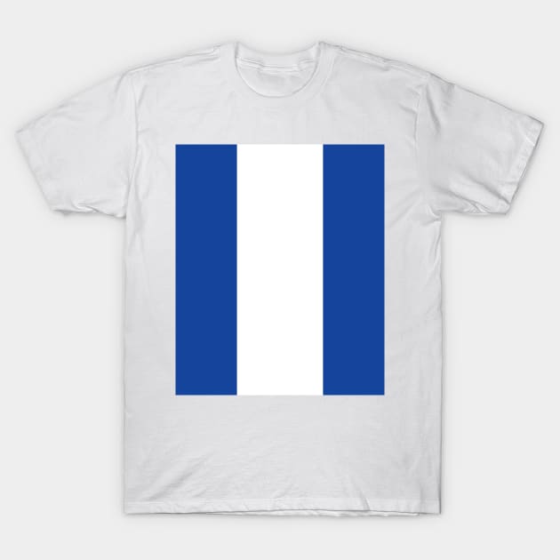 Classic Birmingham City 1970s Blue and White Stripe T-Shirt by Culture-Factory